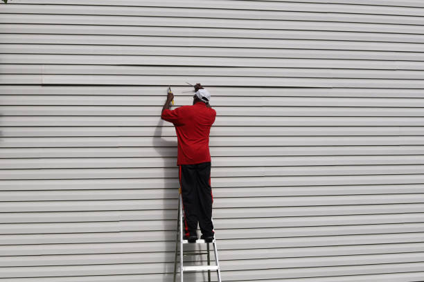 Best Brick Veneer Siding  in Napoleon, OH