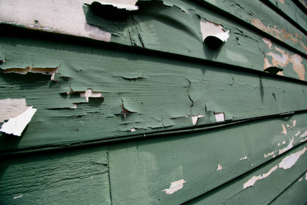 Best Stone Veneer Siding  in Napoleon, OH